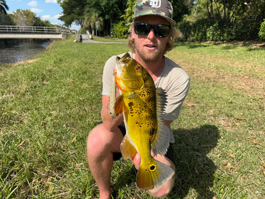 Product Testing - Miami, FL