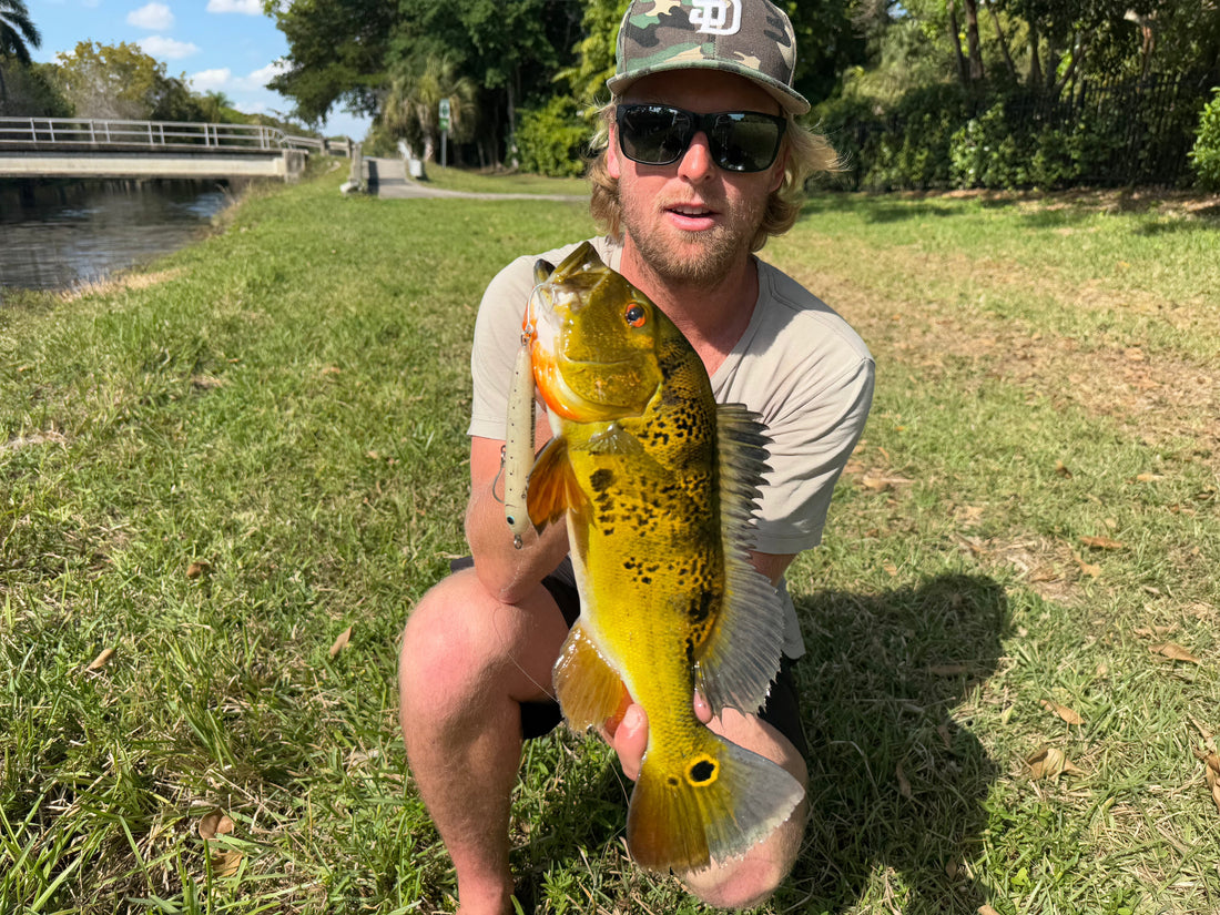 Product Testing - Miami, FL